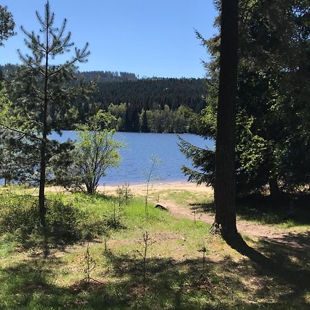 Rodinne Ubytovani Krauskopfovi Lipno nad Vltavou Kültér fotó